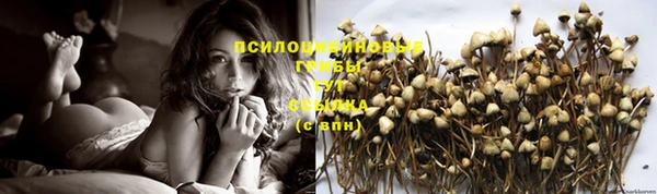 mix Бородино
