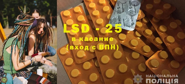 шишки Верея