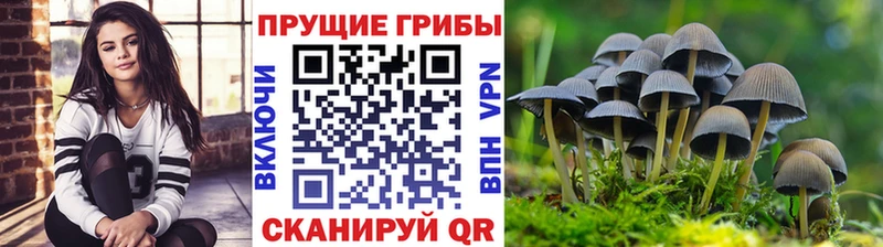 Псилоцибиновые грибы прущие грибы  Ветлуга 